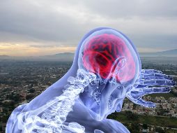 Así podría afectar la contaminación ambiental el riesgo de obtener esta grave enfermedad. EL INFORMADOR / ARCHIVO