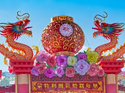 Bajo la polaridad Yin, la invitación principal para el día de hoy es actuar desde la empatía y la comprensión. Unsplash