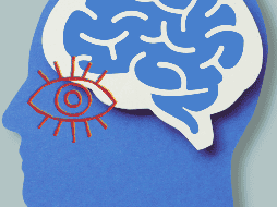 El estudio refuerza la hipótesis de que la retina podría utilizarse como una ventana accesible para detectar procesos neurodegenerativos. ESPECIAL