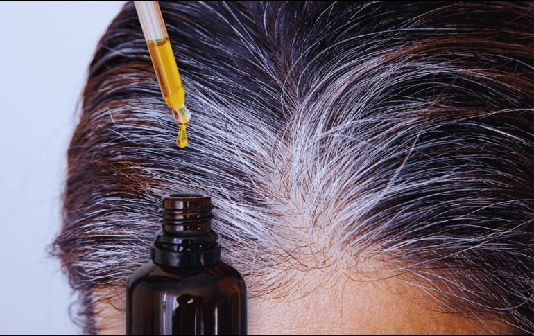 El aceite de coco es popular para el tratamiento de las canas porque ayuda a reducir la fragilidad del cabello canoso. ESPECIAL / CANVA