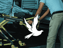 El organismo autónomo resaltó que, por cuarto año consecutivo, la principal causa de muerte fueron las enfermedades del corazón, con 95 mil 935 decesos de enero a junio. EL INFORMADOR / ARCHIVO