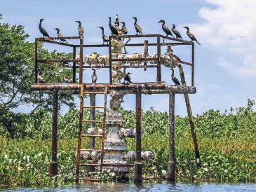 Los autores del estudio auguran una caída de GNL del 1% en Sudamérica y en Centroamérica. SUN/ARCHIVO