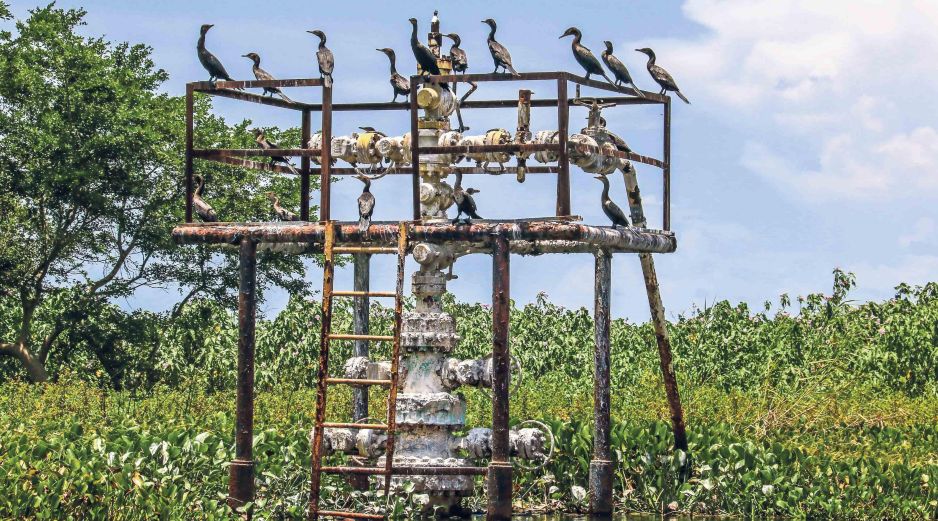 Los autores del estudio auguran una caída de GNL del 1% en Sudamérica y en Centroamérica. SUN/ARCHIVO