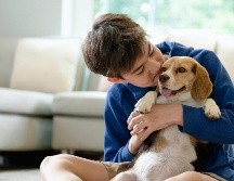 El Beagle es una excelente opción para casas con niños pequeños. ESPECIAL / CANVA