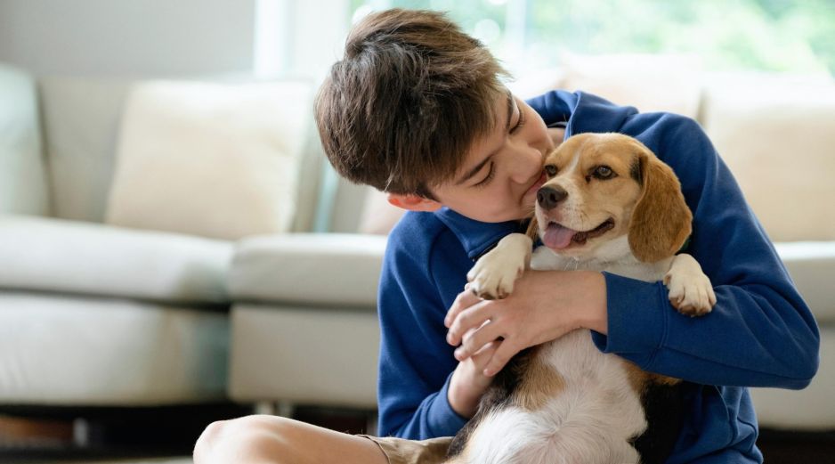 El Beagle es una excelente opción para casas con niños pequeños. ESPECIAL / CANVA