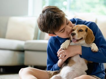 El Beagle es una excelente opción para casas con niños pequeños. ESPECIAL / CANVA