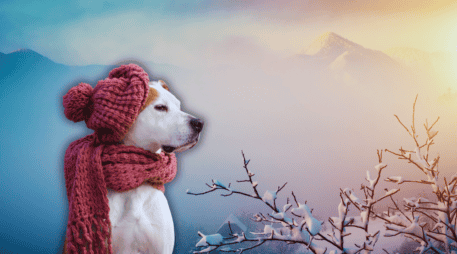 Se prevé que el frente frío núm. 31 se disipe en el transcurso de la tarde.  ESPECIAL / CANVA