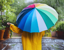 La posibilidad de lluvia para este día en Guadalajara es del 24 por ciento, aunque es mayor a las 15:00 horas. ESPECIAL / CANVA