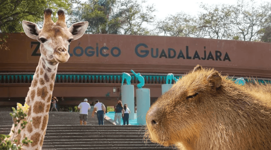 Los paquetes ofrecen una experiencia completa que combina diversión, aprendizaje y aventura. ESPECIAL/ EL INFORMADOR/ ARCHIVO/ Unsplash