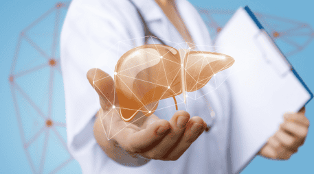 La ciencia indica que el hígado puede mostrar mejoras en un mes si el daño es leve y se adoptan cambios adecuados, pero no siempre es correcto hablar de una curación total en ese periodo. CANVA