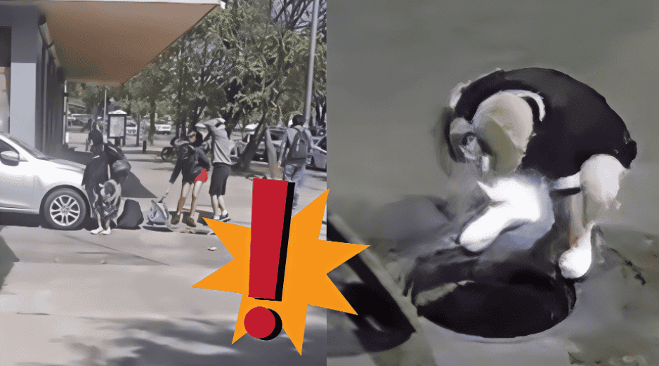 Alcantarillas de Guadalajara: lo qué hay detrás de los videos donde entran y salen personas de ellas. ESPECIAL / X 