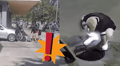 Alcantarillas de Guadalajara: lo que hay detrás de los videos donde entran y salen personas de estas. ESPECIAL / X 