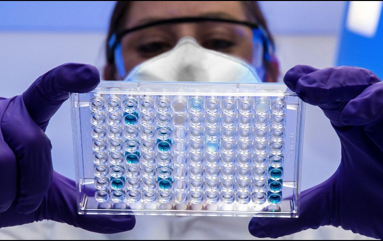 El primer brote en Malasia provocó la muerte de 100 personas y obligó al sacrificio de un millón de cerdos para frenar la propagación. UNSPLASH