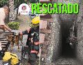 Protección Civil y Bomberos de Guadalajara reafirmó su compromiso de mantener la seguridad de todos los seres vivos en el municipio. ESPECIAL / FACEBOOK Protección Civil y Bomberos Guadalajara