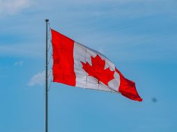 La ministra de asuntos exteriores de Canadá, Anita Anand, reiteró en entrevista para un medio canadiense el pasado 25 de enero que su país no busca un acuerdo de libre comercio con China. Pixabay
