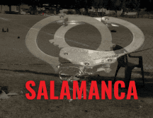 Las primeras líneas de investigación difundidas el lunes apuntan que el tiroteo está presuntamente relacionado con una disputa entre cárteles. SUN/ARCHIVO ESPECIAL/Canva