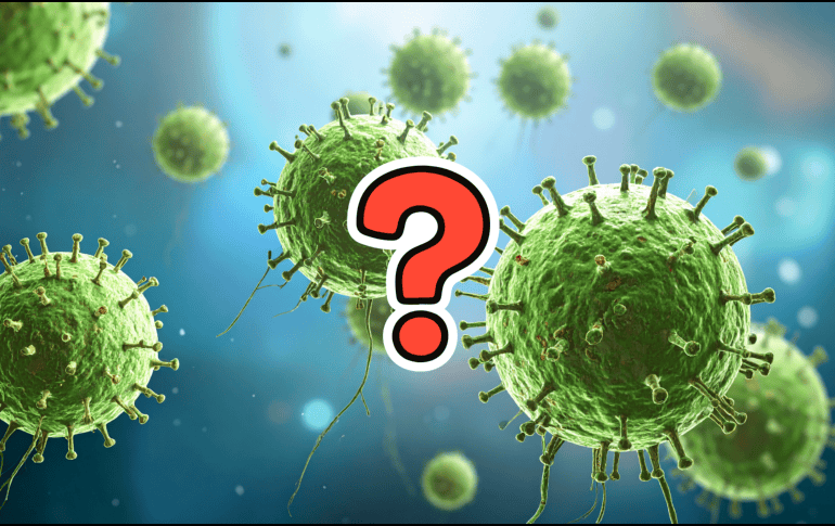 La alerta se originó cuando, el 12 de enero de 2026, fuentes oficiales notificaron dos casos sospechosos de infección por Nipah, de acuerdo con el boletín epidemiológico más reciente de la oficina regional de la Organización Mundial de la Salud (OMS) para el Sudeste Asiático. CANVA