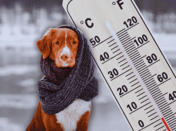 Por el frente frío 32, se prevén condiciones para la caída de lluvia engelante o aguanieve en zonas altas de Chihuahua, Coahuila y Nuevo León. ESPECIAL / CANVA