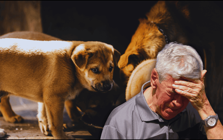 El acompañamiento psicoterapéutico puede resultar de mucha ayuda y el enfoque Gestalt es una opción relevante para tratar estos casos. ESPECIAL / CANVA