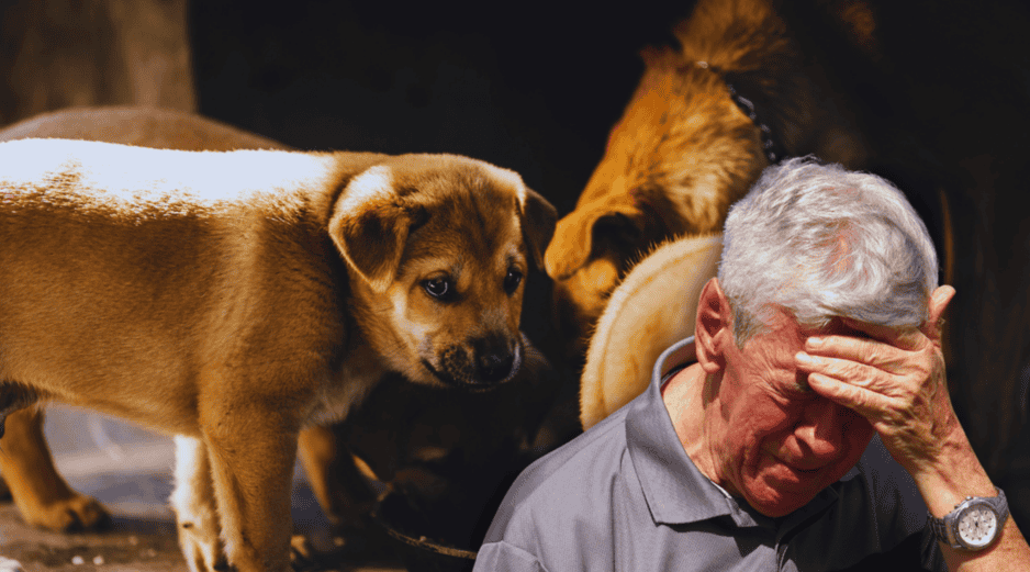 El acompañamiento psicoterapéutico puede resultar de mucha ayuda y el enfoque Gestalt es una opción relevante para tratar estos casos. ESPECIAL / CANVA