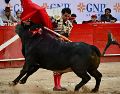 En el marco de la segunda corrida de la feria de aniversario, el matador queretano se alzó como el gran triunfador tras cortar dos apéndices. CORTESÍA/ Plaza de Toros Nuevo Progreso.