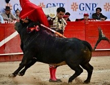 En el marco de la segunda corrida de la feria de aniversario, el matador queretano se alzó como el gran triunfador tras cortar dos apéndices. CORTESÍA/ Plaza de Toros Nuevo Progreso.