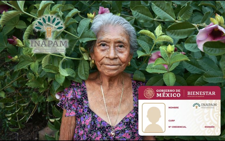 De acuerdo con el catálogo actualizado, las personas adultas mayores con tarjeta o credencial del Inapam pueden acceder a distintos beneficios y descuentos en diversos rubros. ESPECIAL / CANVA e Inapam