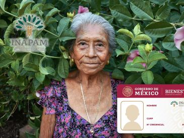 De acuerdo con el catálogo actualizado, las personas adultas mayores con tarjeta o credencial del Inapam pueden acceder a distintos beneficios y descuentos en diversos rubros. ESPECIAL / CANVA e Inapam