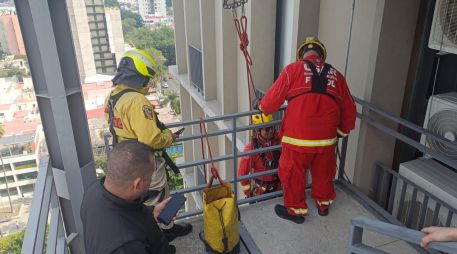 El felino fue localizado en el piso 11 de un inmueble ubicado en avenida Chapultepec. CORTESÍA