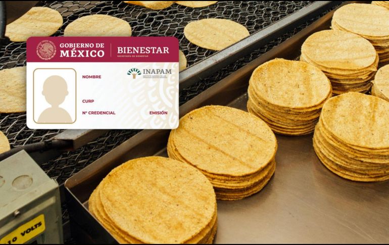 Con la tarjeta INAPAM, las personas adultas mayores pueden obtener descuentos en tortillerías de Jalisco. CANVA/ESPECIAL