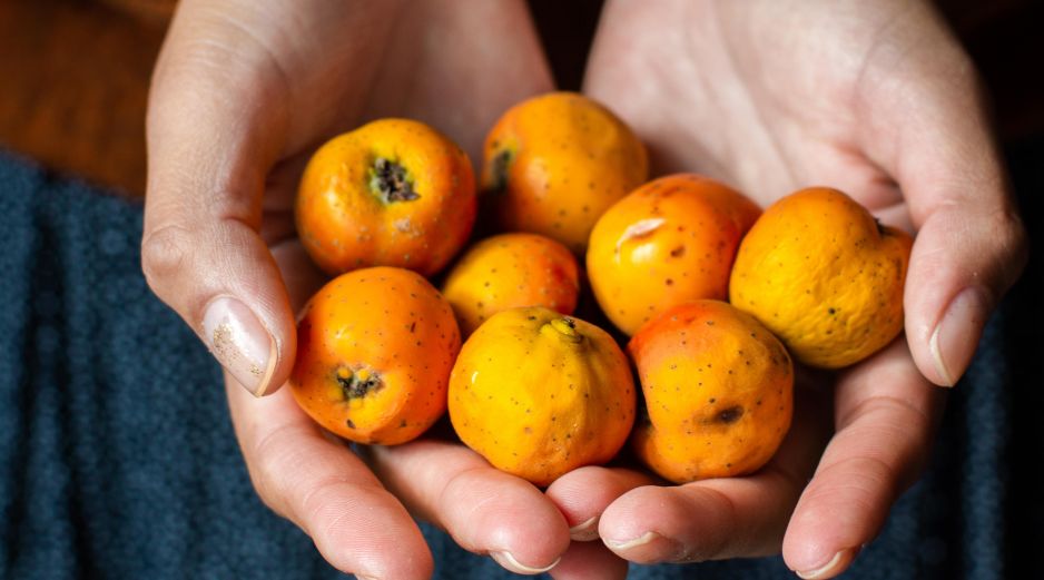 Algunos estudios sugieren que puede favorecer el metabolismo y apoyar en el control del peso corporal. PIXABAY