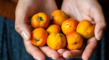 Algunos estudios sugieren que puede favorecer el metabolismo y apoyar en el control del peso corporal. PIXABAY