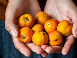 Algunos estudios sugieren que puede favorecer el metabolismo y apoyar en el control del peso corporal. PIXABAY