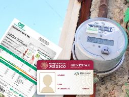 La tarjeta se puede tramitar a partir de que una persona cumple los 60 años para acceder a algunos descuentos, aunque no para todos los pagos. ESPECIAL / EL INFORMADOR, CFE e INAPAM