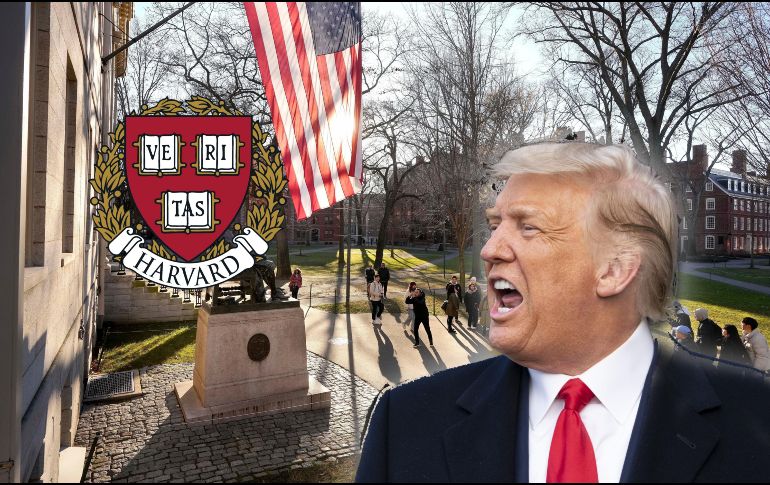 La disputa entre Harvard y Donald Trump tiene un nuevo capítulo. AP / ARCHIVO