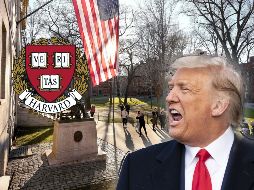 La disputa entre Harvard y Donald Trump tiene un nuevo capítulo. AP / ARCHIVO