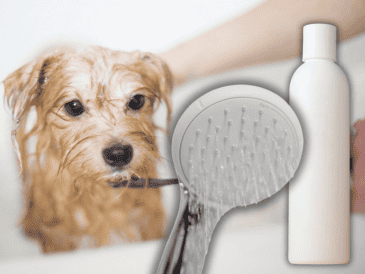 Para que el baño realmente aporte beneficios, es importante prestar atención a ciertos aspectos y evitar errores comunes. ESPECIAL/Unplash