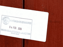 Aunque fuentes parlamentarias señalaron que la estética fue habilitada por la senadora morenista Andrea Chávez Treviño e integrantes de su círculo cercano, esta versión fue rechazada por la presidenta del Senado. ESPECIAL