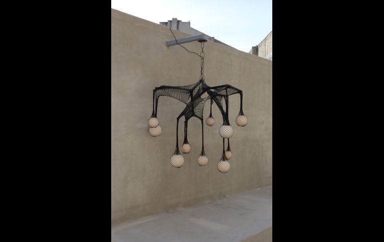 1ª exposición “Mosca. Gallo. Pluma. Ligero” en Sala Roxy. GENTE BIEN JALISCO / C. Jimeno