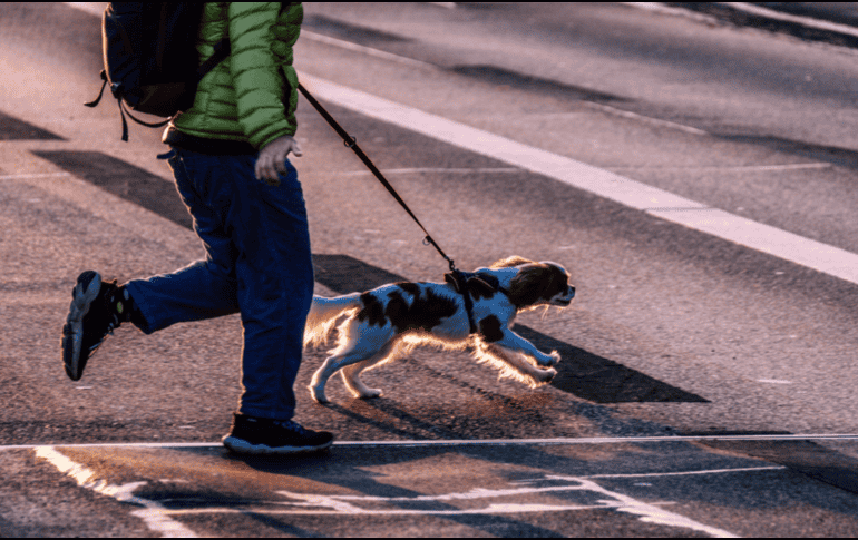 Salir con un perro a la calle sin correa puede provocar incidentes con otras mascotas, niños e incluso con personas de la tercera edad. CANVA