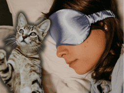 Un error común entre los propietarios es asumir que el gato tiene hambre cuando maúlla de madrugada. ESPECIAL