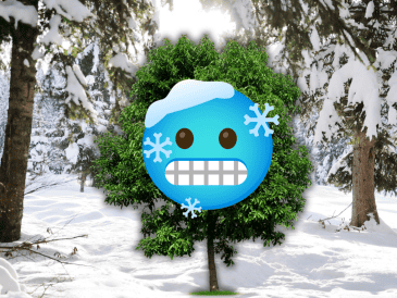 Las bajas temperaturas reducen la pérdida de agua, lo que disminuye el riesgo de deshidratación. ESPECIAL