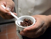 Esto es lo que pasa si se comen chapulines a menudo. NTX / ARCHIVO