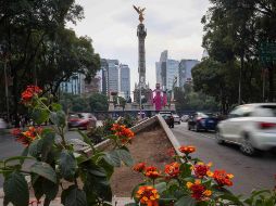 Las restricciones a la circulación aplican de las 5:00 a las 22:00 horas. SUN/L. Camacho