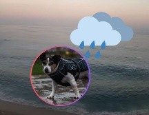 Este domingo continuará un anticiclón en niveles medios de la atmósfera, manteniendo ambiente cálido a caluroso en gran parte del país. UNSPLASH / M. Lindo / ESPECIAL / Webcams de México