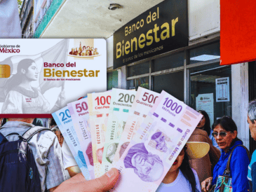 Del próximo 16 y hasta el 22 de febrero se llevará a cabo el registro para la pensión del adulto mayor y de mujeres Bienestar. EL INFORMADOR / A. Navarro