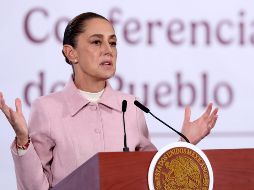 La Mandataria precisó que, a pesar de que la empresa minera Vizsla Silver es canadiense, el Gobierno de Canadá no ha hablado 