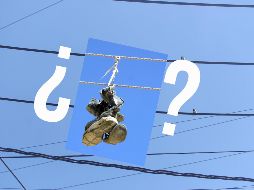 ¿Has visto imágenes como esta? Podría significar varias cosas. EL INFORMADOR / ARCHIVO