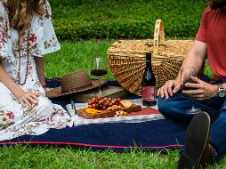 Un picnic es un plan barato y sencillo para celebrar este 14 de febrero, Día del Amor, en Guadalajara. UNSPLASH / T. COLLINS