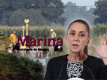 Esta es la segunda vez que el  antiguo vicealmirante de la Marina solicita intervención de la Presidenta. EFE / ARCHIVO